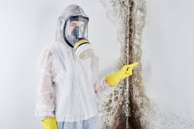 Best Mold Odor Removal Services  in North Decatur, GA